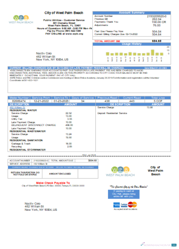 Download West Palm Beach Pub Utilities utility business bill SCR Photoshop template